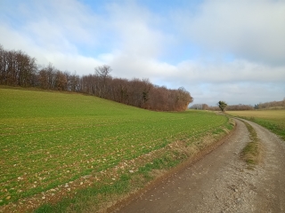 FOUR 38 - BOIS COUVERT-isere