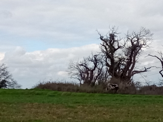 ROCHE 38 - PAR LES BACHASSES-isere