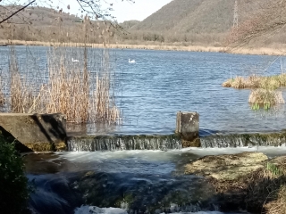 CHARAMEL- MARAIS DE CHARAMEL-isere