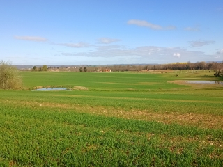 RUY - SUR LES HAUTEUR-isere