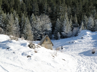 RAQUETTES A LA CABANE DE CARETTE-isere