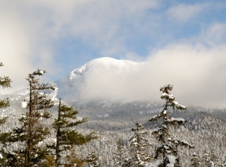 RAQUETTES A LA CABANE DE CARETTE-isere