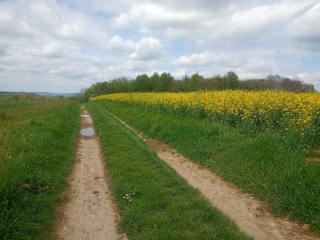 SUCCIEU - PAR LE MOULIN-isere