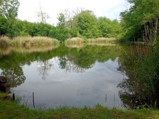 BONNEFAMILLE - ETANGS DES DAMES-isere