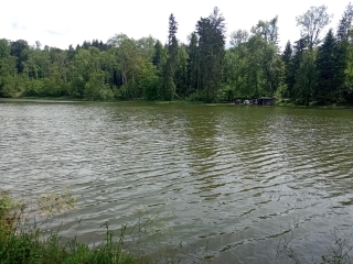 BONNEFAMILLE - ETANGS DES DAMES-isere