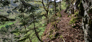 VIEILLE VIRE EN BOUCLE-isere