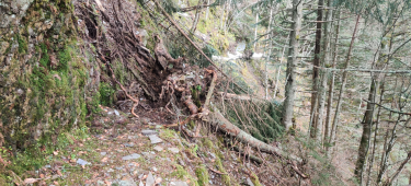 VIEILLE VIRE EN BOUCLE-isere