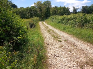 MORAS - PAR LE PIARDAY-isere