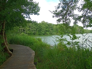 THUILE 38 - PAR LE LAC DE LA SAVE-isere
