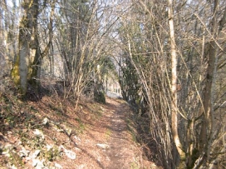 ST DIDIER DE BIZONNES-isere