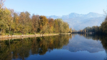 LES éTANGS DES BOIS-isere