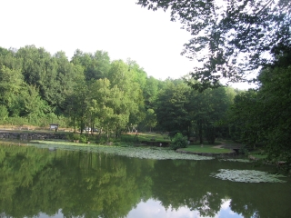 BOURGOIN-JALLIEU ÉTANG DE ROSIÈRE-isere