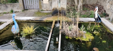 BAS DE SAINT-NAZAIRE-isere