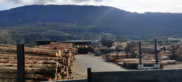 BASSIN ET BOTANIQUE-isere