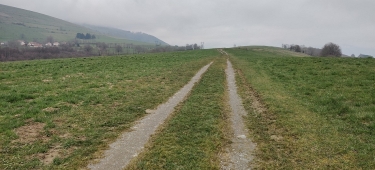 DES TROUSSIERS à TORD-isere