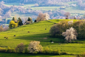 PETITE BOUCLE à LA COIRELLE-isere