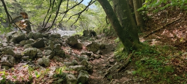 AUPRèS DU MANIVAL-isere