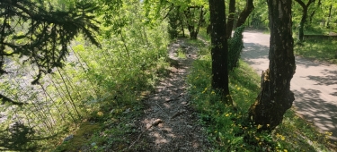 AUPRèS DU MANIVAL-isere