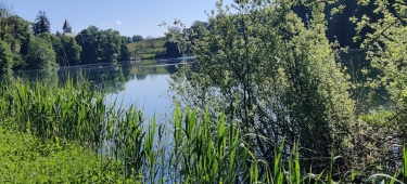 chartreuse - SAINT-SIXTE ET FORêT