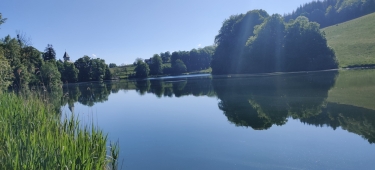 SAINT-SIXTE ET FORêT-isere