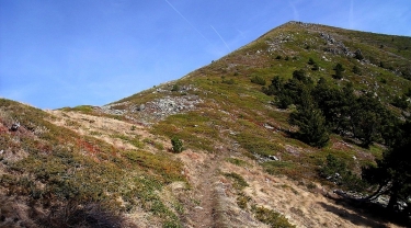 LA VALLET - PIQUET DE NANTES-isere