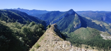 GONSON ET FALAISE-isere