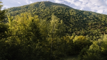 CARRIèRES DE GYPSE-isere