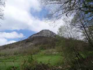 chartreuse - BOIS ET COL DE LA TENçON