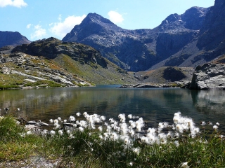 DU BITOU AUX DOMéNON-isere