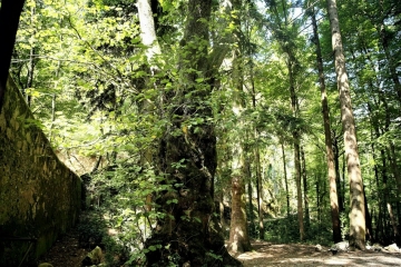 LES VOUILLANDS 6,3 KM-isere