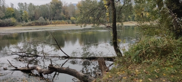 BOIS ET BERGES-isere