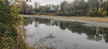 BOIS ET BERGES-isere