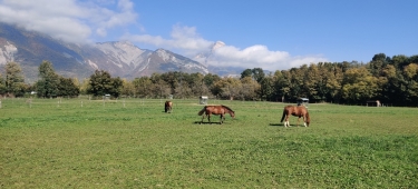 BERGES ET BOIS-isere