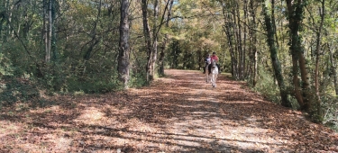 BERGES ET BOIS-isere