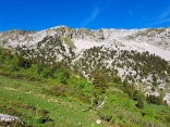 RANDONNéE EN CHARTREUSE LA GRANDE SURE-isere