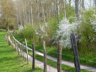 VEZERONCE-CURTIN -isere