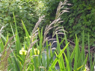 VEZERONCE-CURTIN -isere