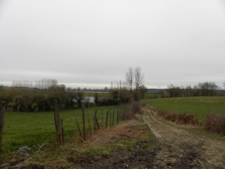 TORCHEFELON (2)-isere