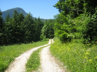 SAINT-SAVIN (4)-isere