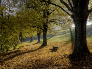 VILLEFONTAINE - LACS ET CHATEAUX-isere
