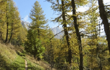 SENTIER DE GOBERT-isere