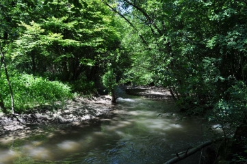 LA BATIE MONTGASCON-isere