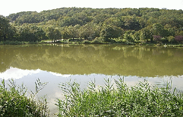ETANGS AUTOUR DE CARISIEU-isere