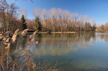 TORCHEFELON (3)-isere