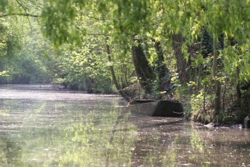 SAINT-SAVIN(5)-isere