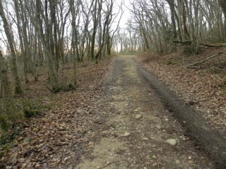 SAINT-ALBAN-DE-ROCHE(2)-isere