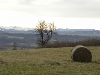 SAINT-ALBAN-DE-ROCHE(2)-isere