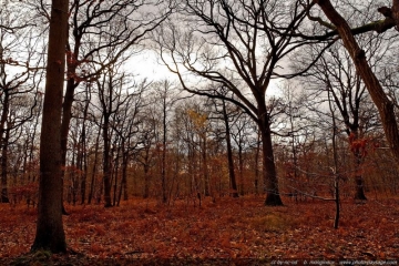 VILLEMOIRIEU (3)-isere