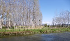 CHAMAGNIEU (2)-isere