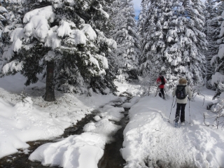 RAQUETTE A CHAMROUSSE-isere